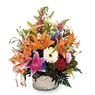 Sa Indioteria blomster- Radiant Ensemble Blomsterarrangementer bukett