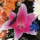 Sa Indioteria blomster- Radiant Ensemble Blomsterarrangementer bukett