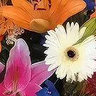 Sa Indioteria blomster- Radiant Ensemble Blomsterarrangementer bukett