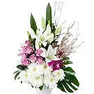 Sa Indioteria blomster- Kronbladpalett Blomsterarrangementer bukett