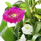 Sa Indioteria blomster- Floral Fusion Hub Blomsterarrangementer bukett