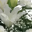 Sa Indioteria blomster- Ethereal Exotics Emporium Blomsterarrangementer bukett