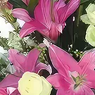Sa Indioteria blomster- Allsidig valg Blomsterarrangementer bukett