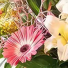 Sa Indioteria blomster- Radiant Roots Realm Blomsterarrangementer bukett