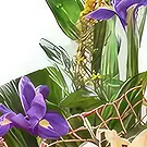 Sa Indioteria blomster- Radiant Roots Realm Blomsterarrangementer bukett