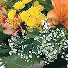 Sa Indioteria blomster- Orange Depot Blomsterarrangementer bukett