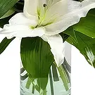 Sa Indioteria blomster- Radiance Realm Blomsterarrangementer bukett