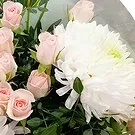 Sa Indioteria blomster- Rosa Overlook Blomsterarrangementer bukett