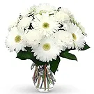 Sa Indioteria blomster- Verdant Ventures Blomsterarrangementer bukett