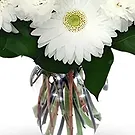 Sa Indioteria blomster- Verdant Ventures Blomsterarrangementer bukett