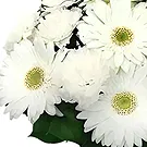 Sa Indioteria blomster- Verdant Ventures Blomsterarrangementer bukett