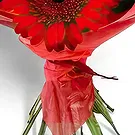 Sa Indioteria blomster- Rose Radiance Realm Blomsterarrangementer bukett