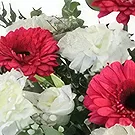 Sa Indioteria blomster- Levende Rouge Fantasy Blomsterarrangementer bukett