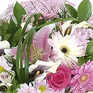 Sa Indioteria blomster- Rosa Fantasy Blomsterarrangementer bukett