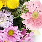 Sa Indioteria blomster- Glitrende rosesymfoni Blomsterarrangementer bukett