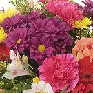Sa Indioteria blomster- Crimson Petal Joy Blomsterarrangementer bukett