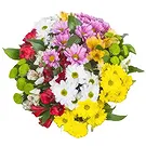 Sa Indioteria blomster- Scarlet Bloom Charm Blomsterarrangementer bukett