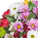 Sa Indioteria blomster- Scarlet Bloom Charm Blomsterarrangementer bukett