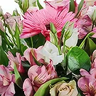 Sa Indioteria blomster- En ny dag Blomsterarrangementer bukett
