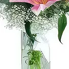Sa Indioteria blomster- Lys morgen Blomsterarrangementer bukett