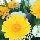 Sa Indioteria blomster- Scarlet Bloom Choice Blomsterarrangementer bukett