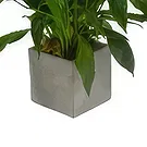 Birmingham flowers  -  Orchid Oasis Gifts Flower Bouquet/Arrangement