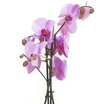 Silk Willoughby flowers  -  Whimsical Orchid Wonders Flower Bouquet/Arrangement