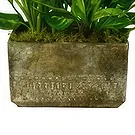 Birmingham flowers  -  Serenity Orchid Selection Flower Bouquet/Arrangement