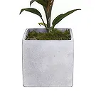 Birmingham flowers  -  Verdant Oasis Collection Flower Bouquet/Arrangement