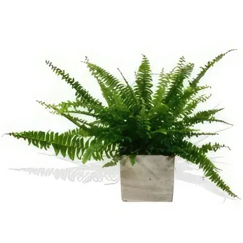 Airth blomster- Zen Garden Delight Blomsterarrangementer bukett