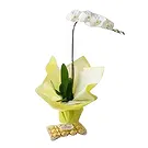flores Sao Paulo floristeria -  Regalo elegante Ramo de flores/arreglo floral
