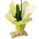 flores Sao Paulo floristeria -  Regalo elegante Ramo de flores/arreglo floral