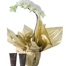 Santa Maria da Boa Vista flowers  -  Friends Choice Flower Bouquet/Arrangement