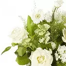 Kolding blomster- Blandede hvide blomster Blomst buket/Arrangement