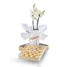 Al Shamkha flowers  -  Symbolize Love Flower Bouquet/Arrangement