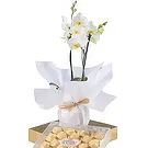 Al Shamkha flowers  -  Symbolize Love Flower Bouquet/Arrangement