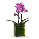 Al Shamkha flowers  -  Luxury Stem Flower Bouquet/Arrangement