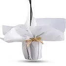 Al Shamkha flowers  -  Royal Velvet Choice Flower Bouquet/Arrangement