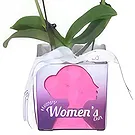 Al Shamkha flowers  -  My choice Flower Bouquet/Arrangement