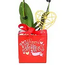 Al Shamkha flowers  -  Red Package Flower Bouquet/Arrangement