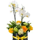 Al-Muwaihat 2 Blumen Florist- Gelbes Band Bouquet/Blumenschmuck