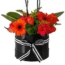 Al Shamkha flowers  -  Fantastic Plants Flower Bouquet/Arrangement
