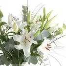 Ghent kukat- Blossom Bliss -kimppu Kukka kukkakimppu