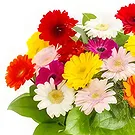 Emden flowers  -  Whispers of Spring Bouquet Flower Bouquet/Arrangement