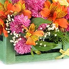 fiorista fiori di Firenze- Composizione floreale in ciotola con gigli Bouquet floreale