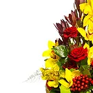 fiorista fiori di Firenze- Bouquet con Orchidee Gerbera e Rose Rosse Bouquet floreale