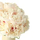 Bondo flowers  -  Wedding Bouquet of White Peonies Flower Bouquet/Arrangement