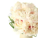 Bondo flowers  -  Wedding Bouquet of White Peonies Flower Bouquet/Arrangement