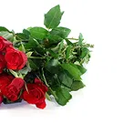 Italy flowers  -  Bunch of Red Roses and Soft Toys Flower Bouquet/Arrangement
