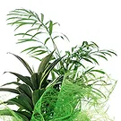 Vignone flowers  -  Composition of Green Plants Flower Bouquet/Arrangement